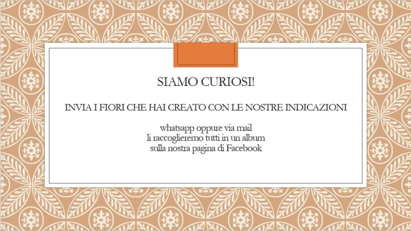 17-Ispirazioni-E-Stili-Decorazione-Eventi-Matrimoni-Fiore-Di-Carta-Crespa-Tutorial-Lavoretti-A-Casa-Facili-Con-La-Carta-