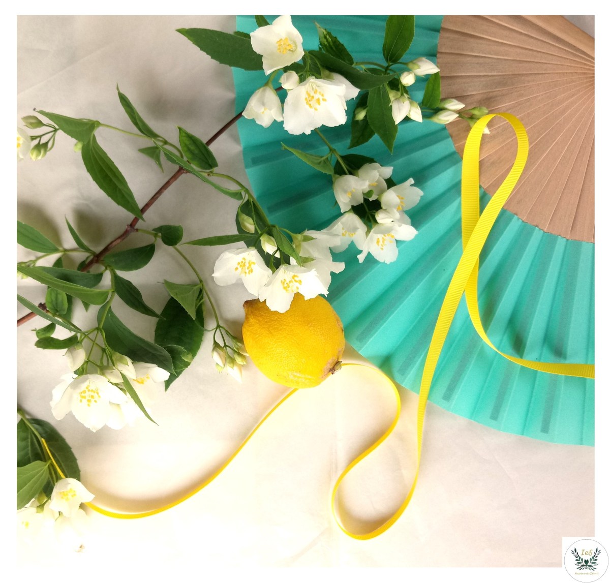 Matrimonio fresco per gli amanti del&nbsp;mare